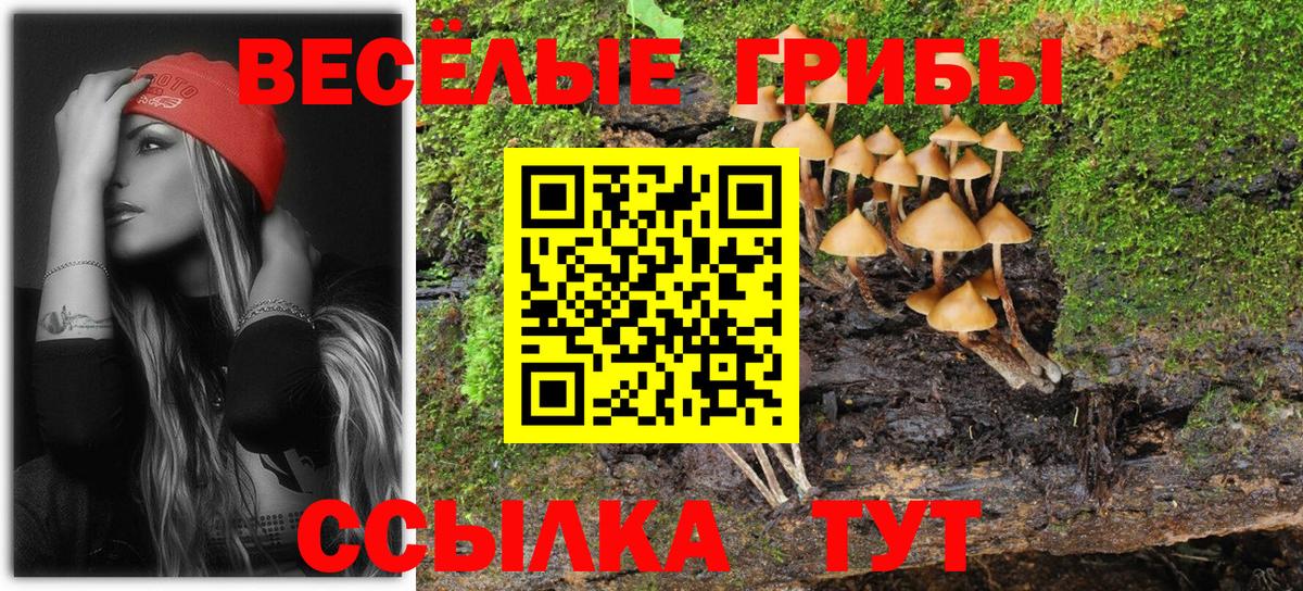 Галлюциногенные грибы Magic Shrooms Черкесск