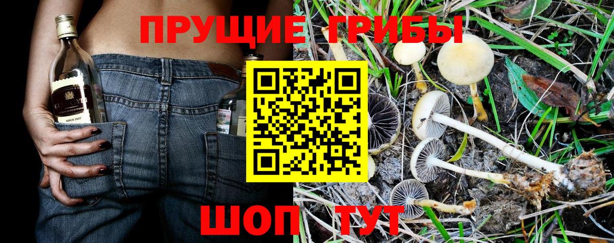как найти закладки  Вход с VPN  Черкесск  Галлюциногенные грибы мухоморы 